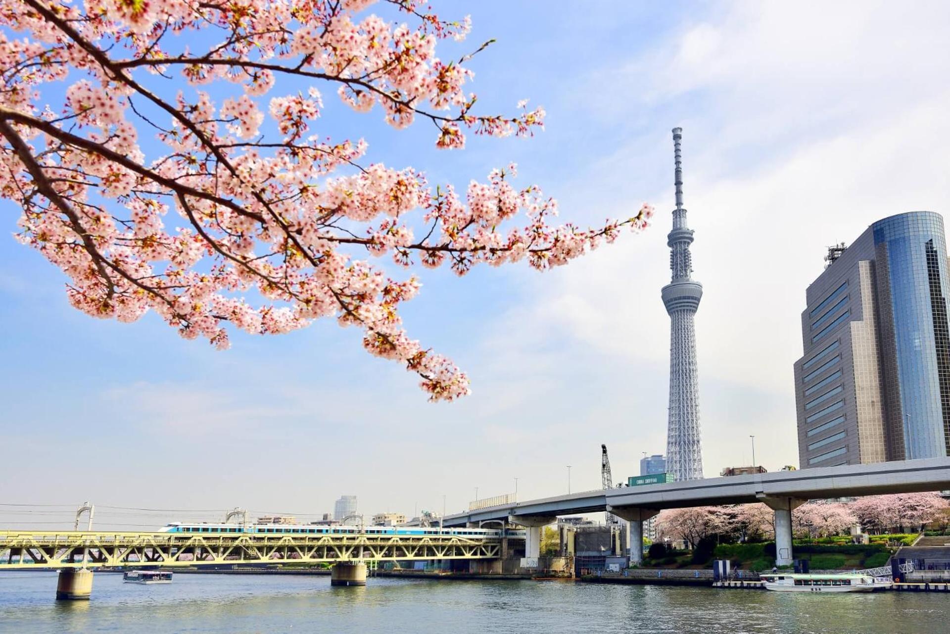 Honeys Guest House Tokyo Esterno foto